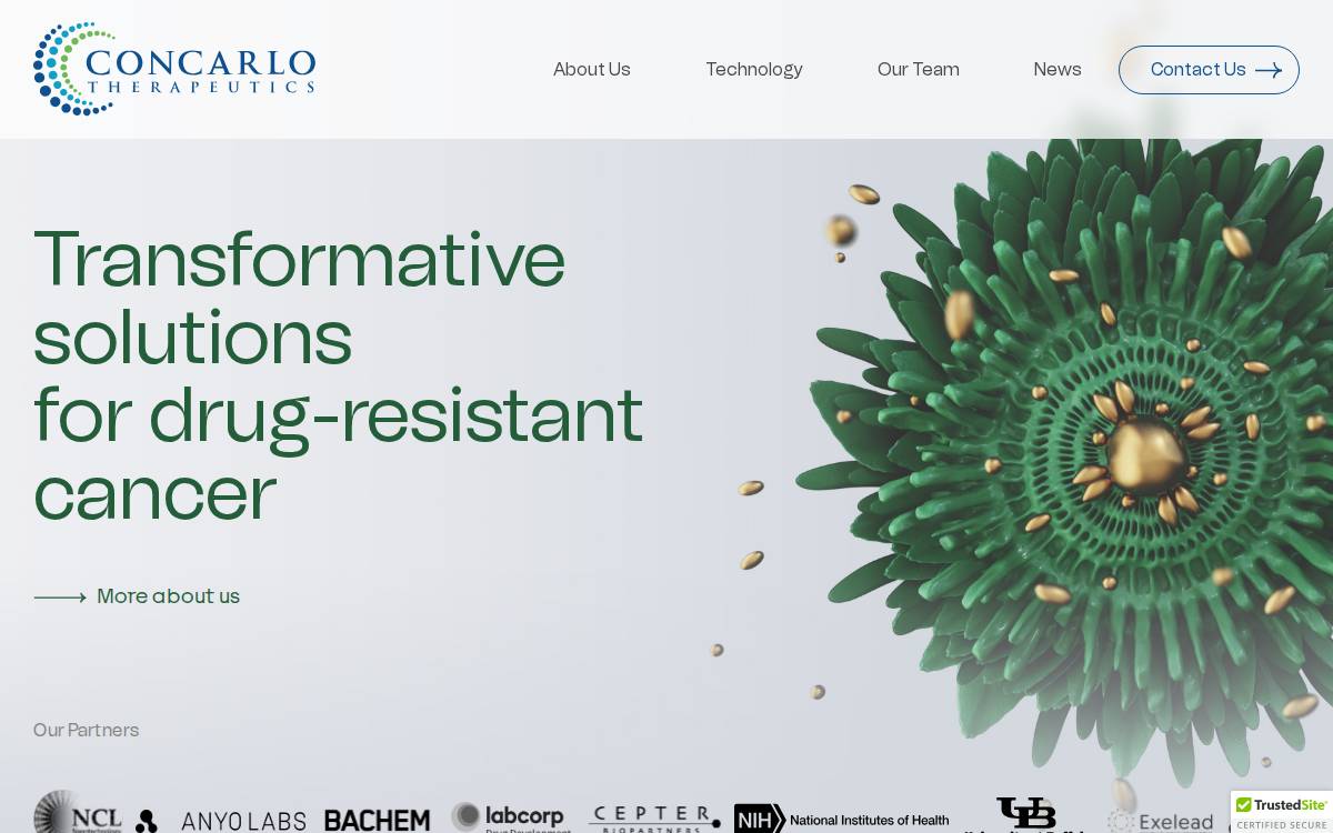 Concarlo website preview