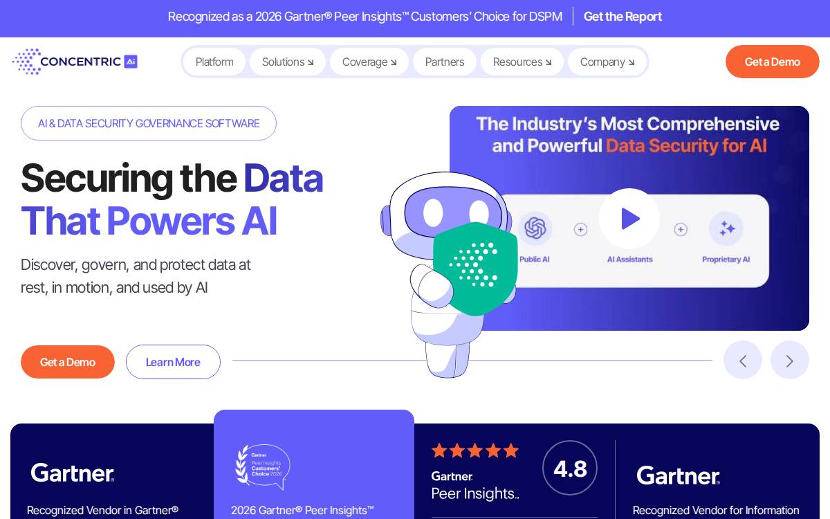 Concentric AI Data risk monitoring website preview