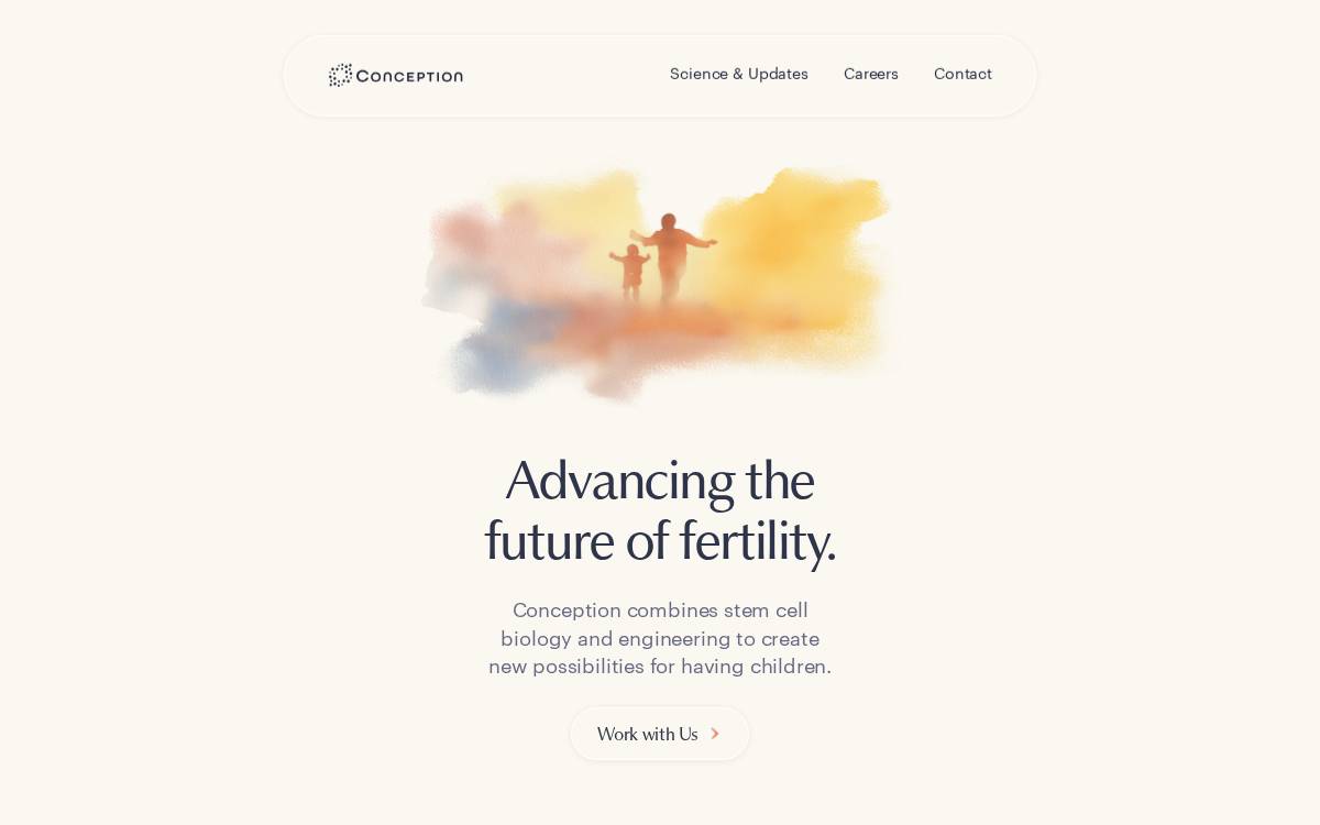 Conception website preview