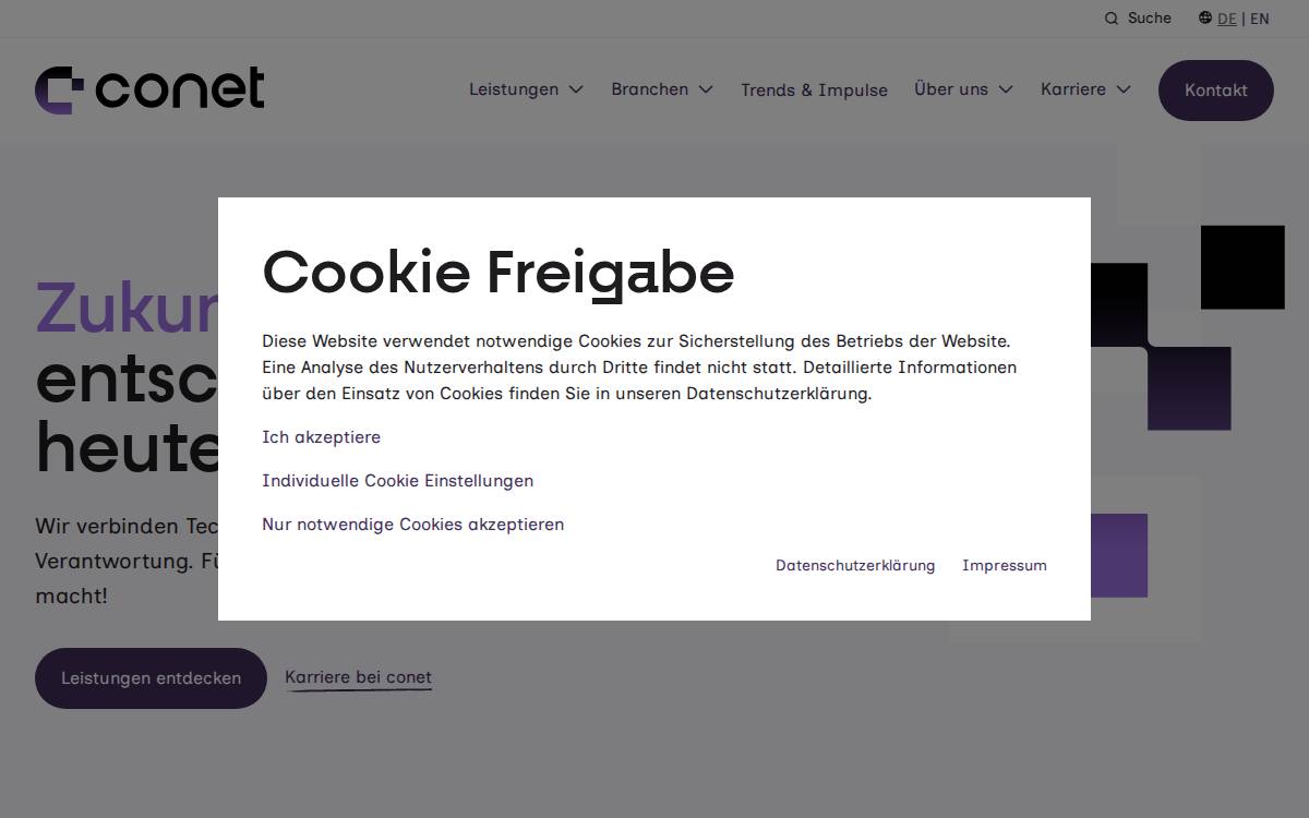 Conet website preview