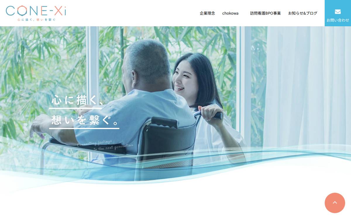 Conexi website preview