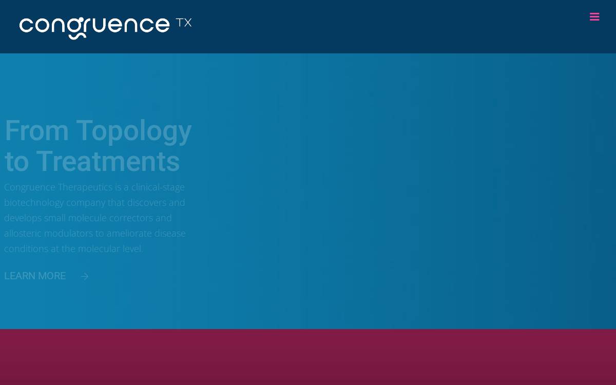 Congruencetx website preview