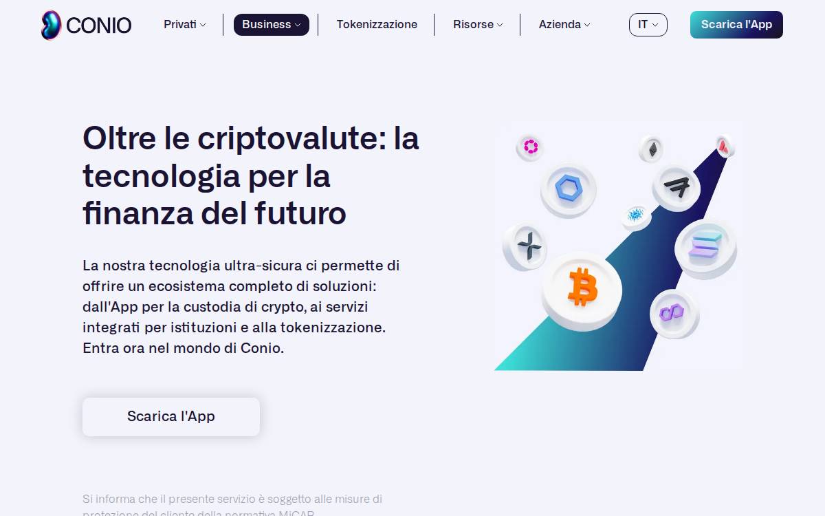 Conio website preview