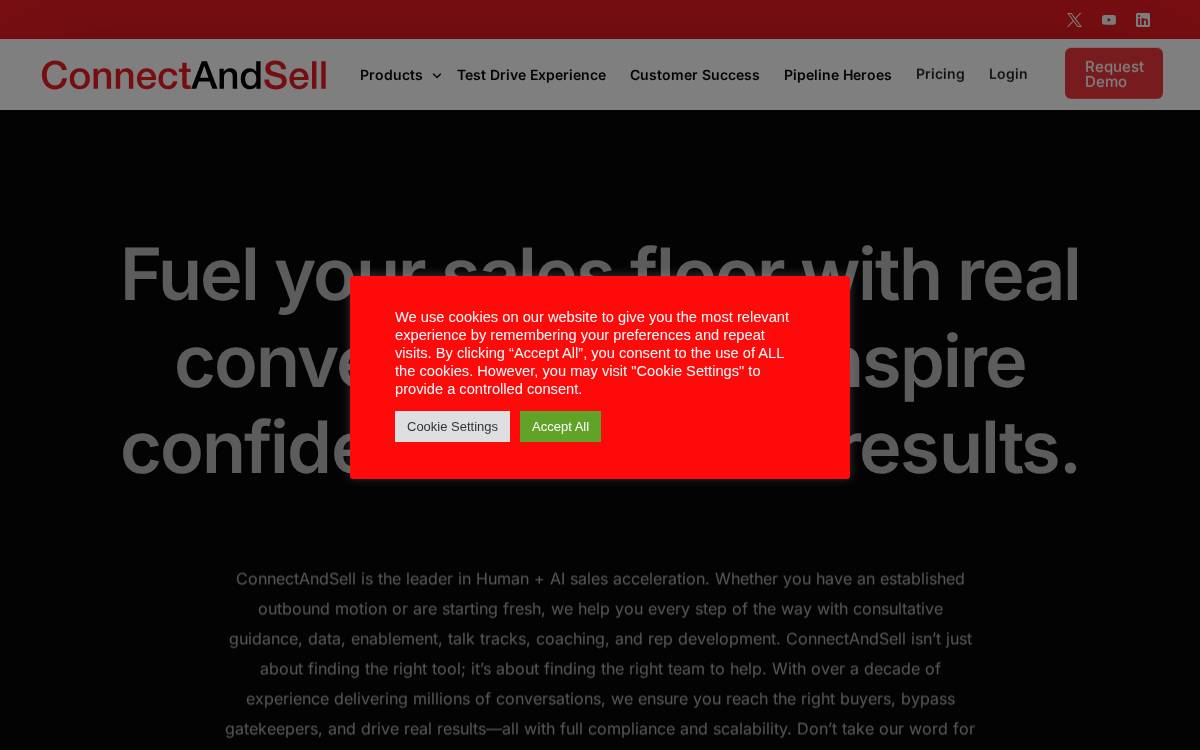 ConnectAndSell website preview