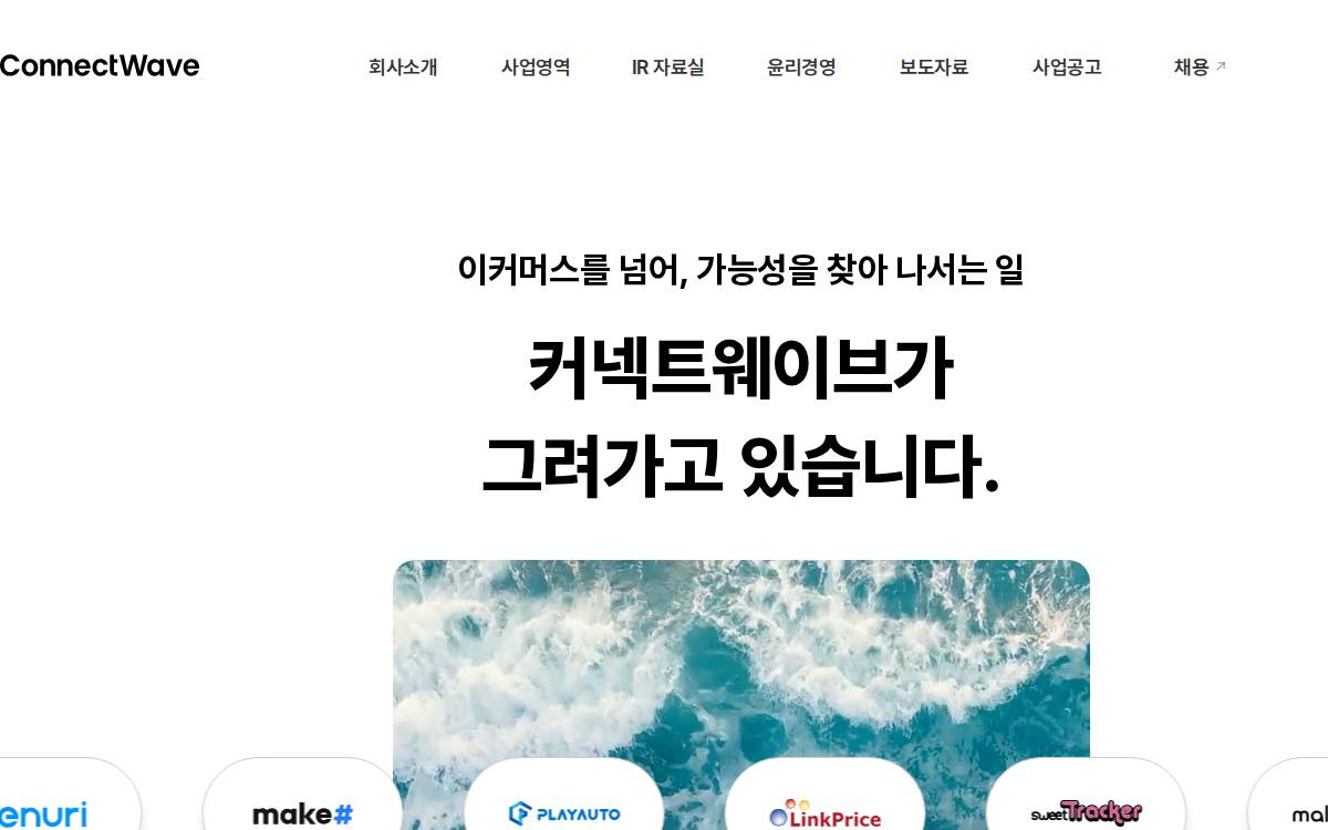 Connectwave website preview