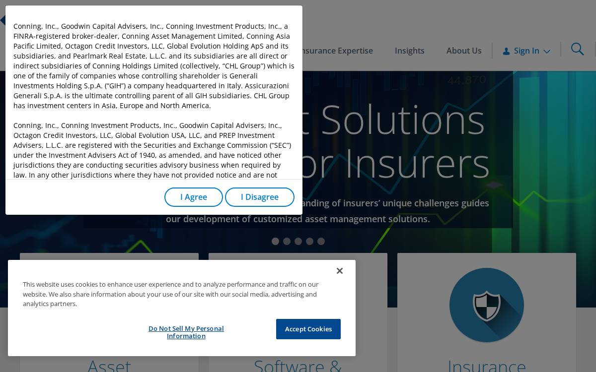 Conning website preview