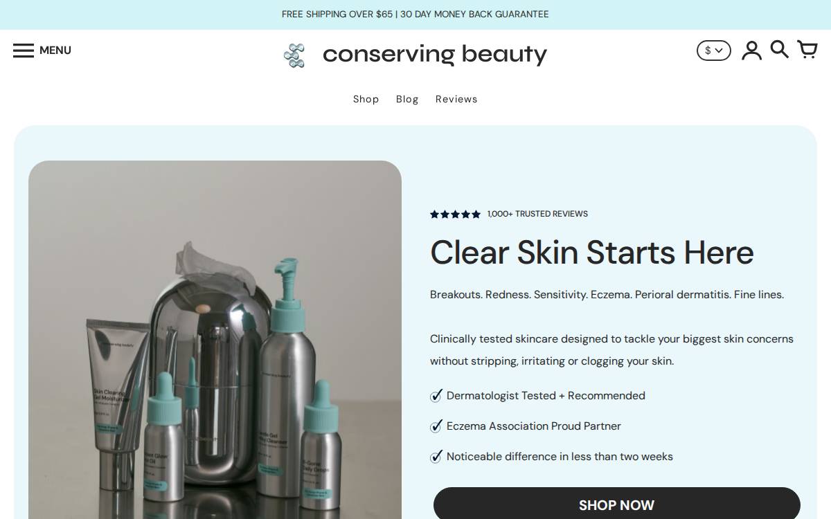 Conserving Beauty website preview