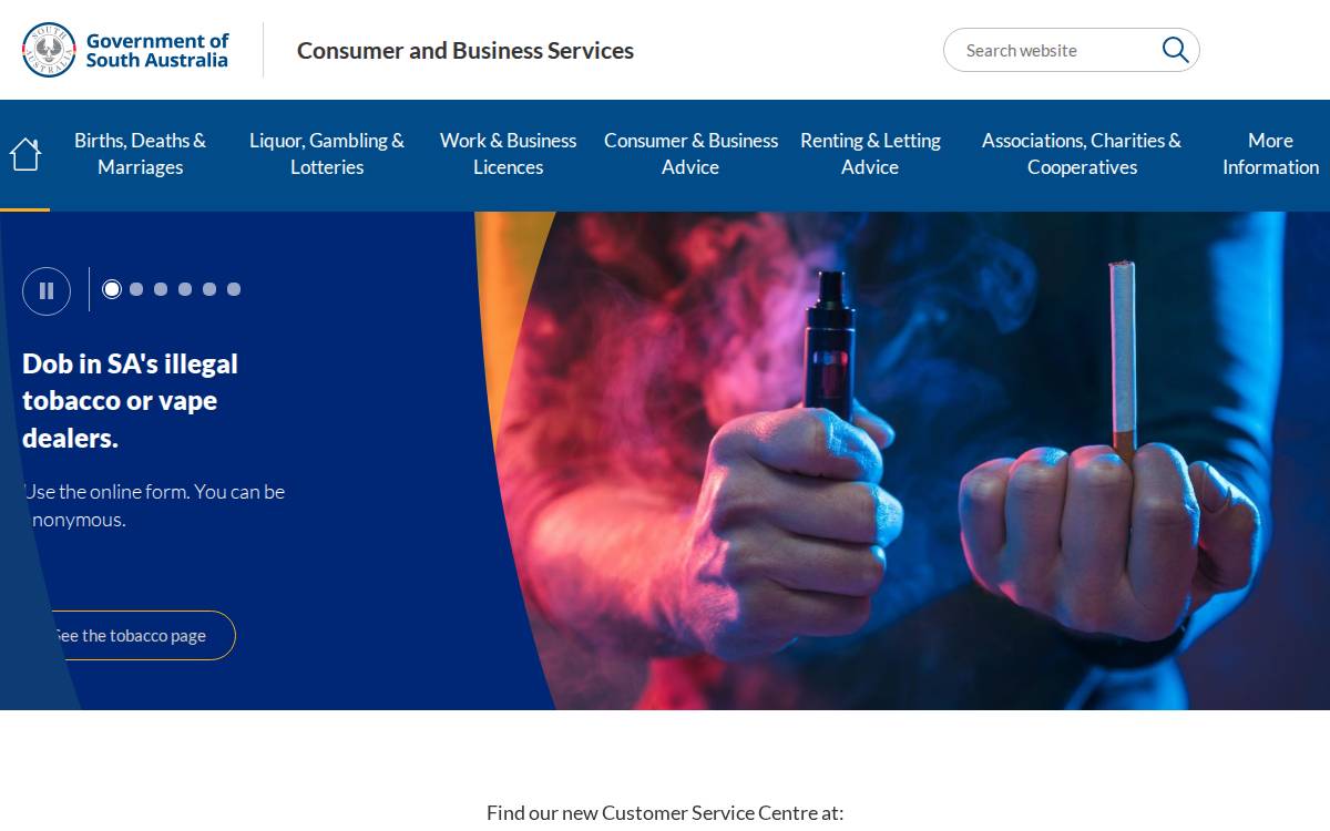 Consumer and Business Services website preview