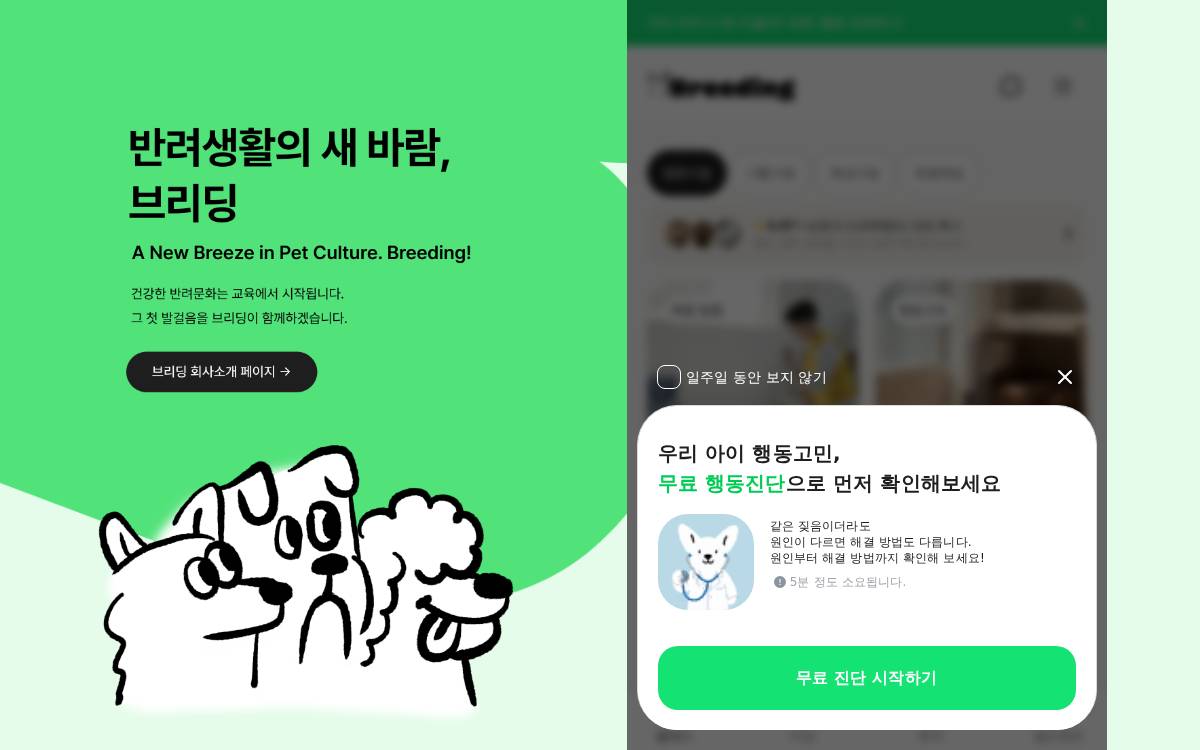 (주)브리딩 website preview