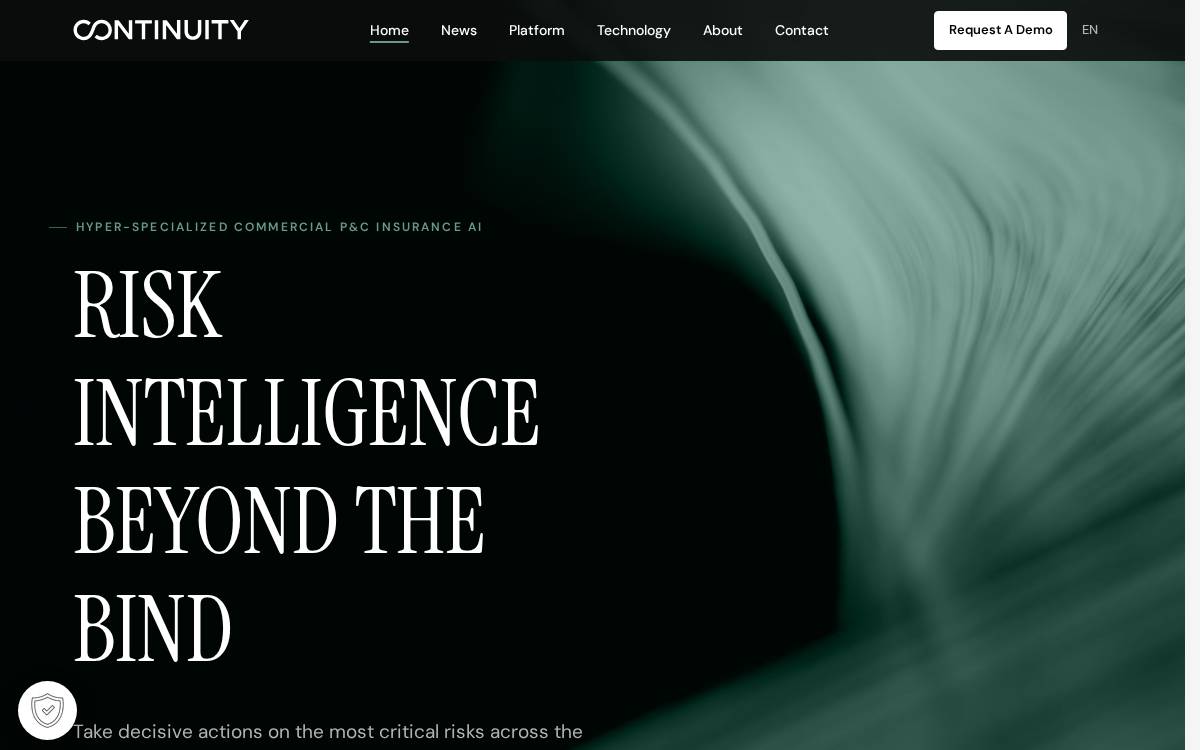 Continuity website preview