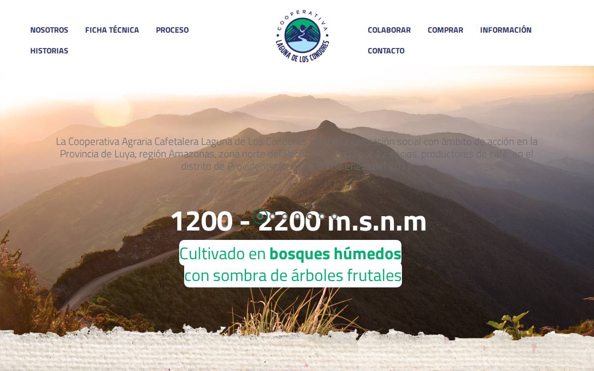 Cooperative Laguna de los Condores website preview