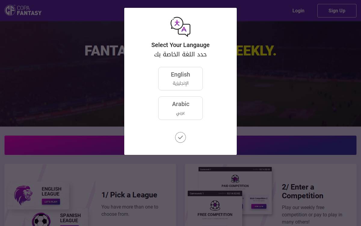 Copa Fantasy website preview