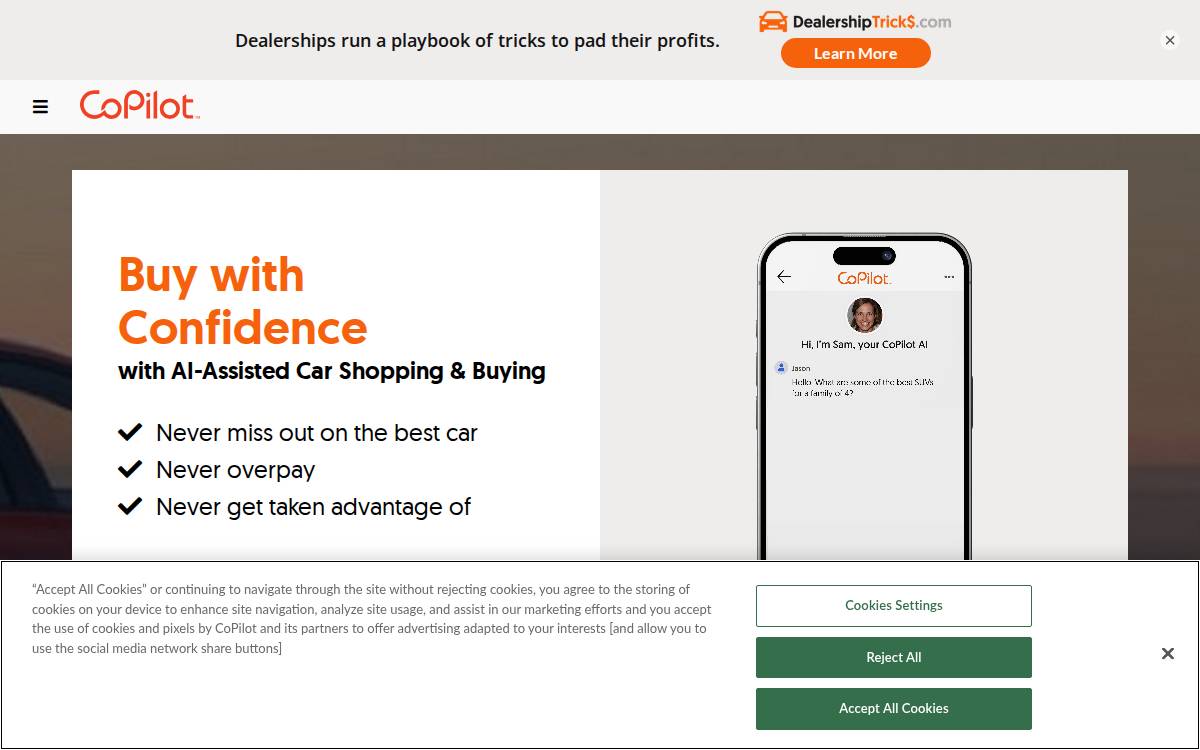 Copilotsearch website preview