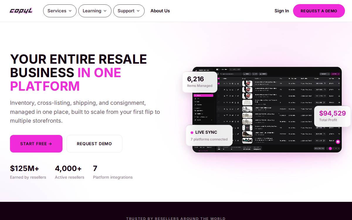 Copyt website preview