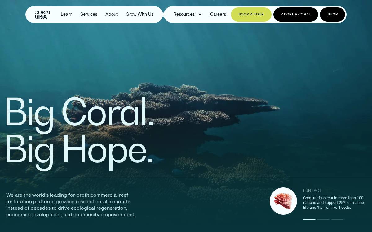 Coral Vita website preview