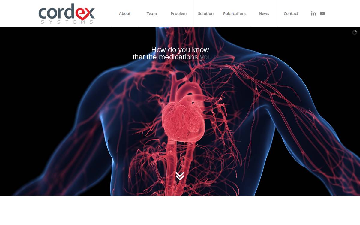 Cordex Systems website preview