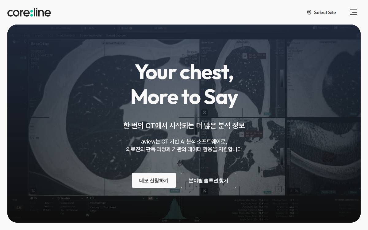 Corelinesoft website preview