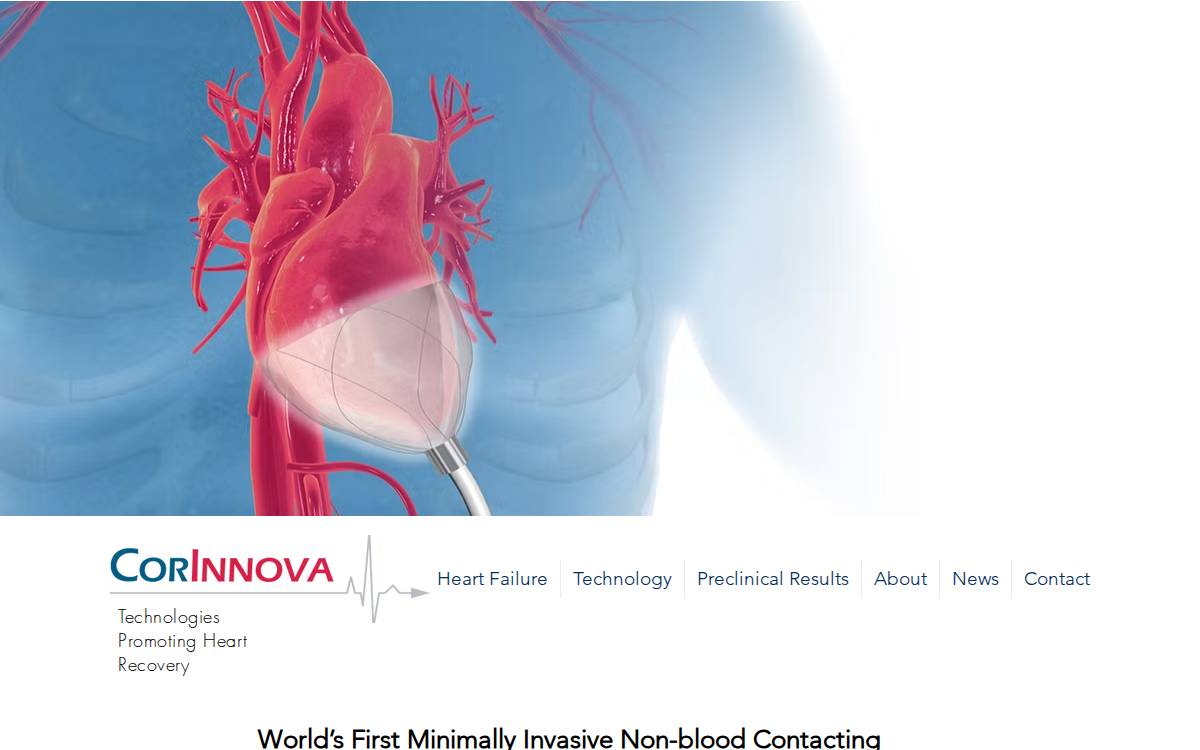 Corinnova website preview