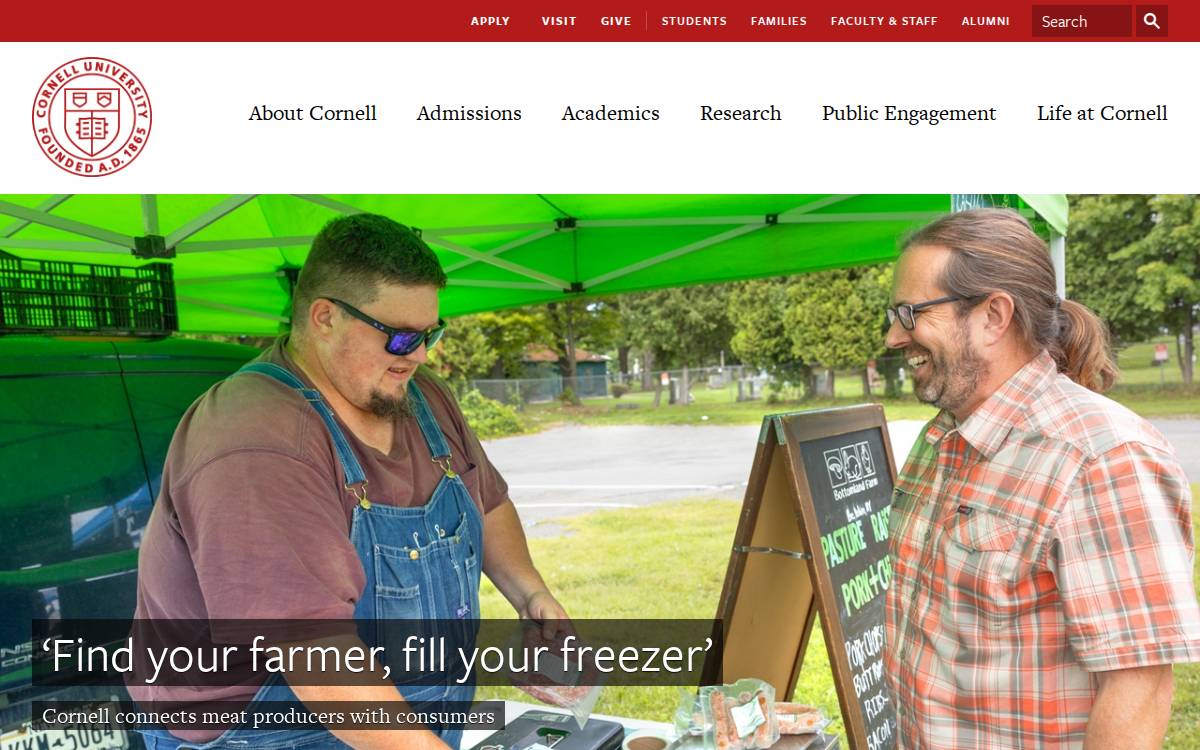 Cornell website preview
