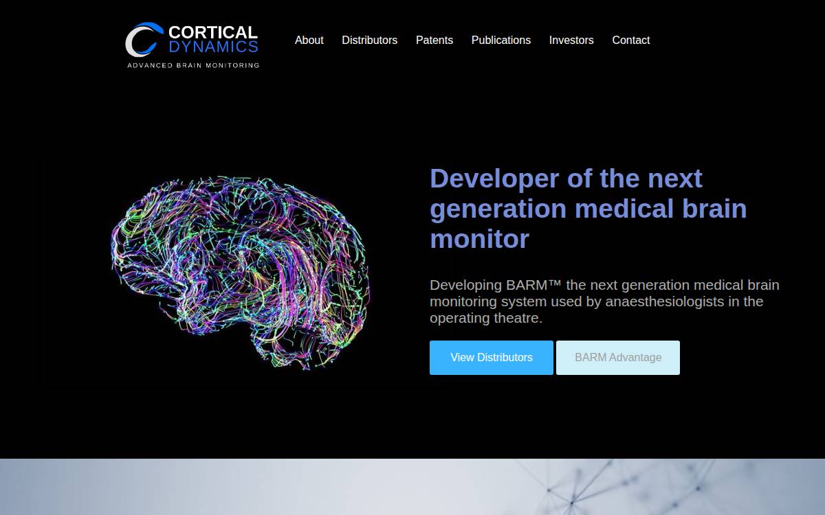 Cortical Dynamics website preview