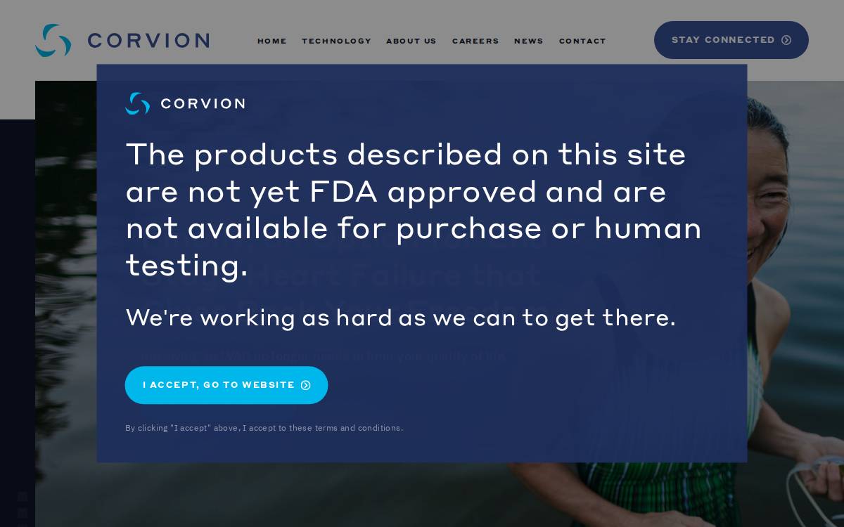 Corvion website preview