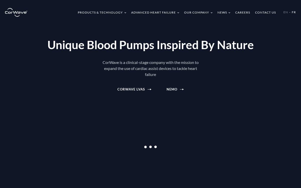 Corwave website preview