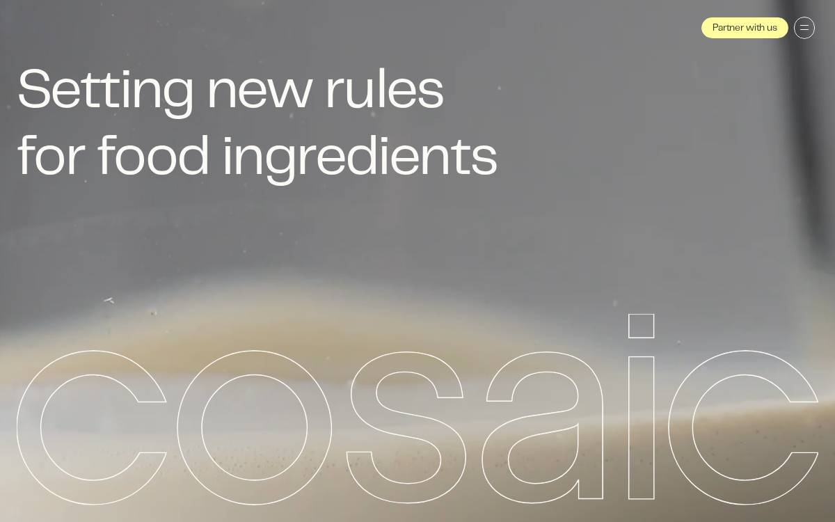 Cosaic website preview
