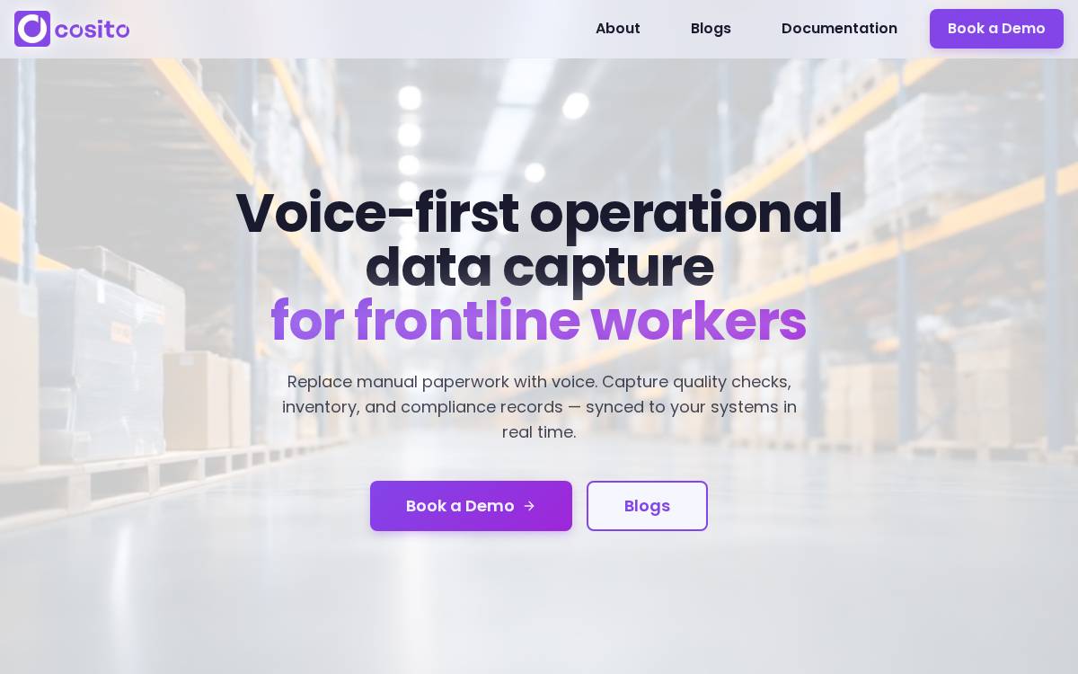 Cosito website preview