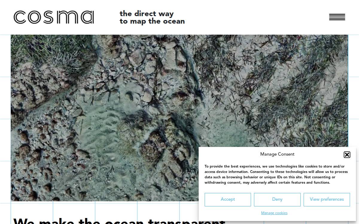 Cosma website preview