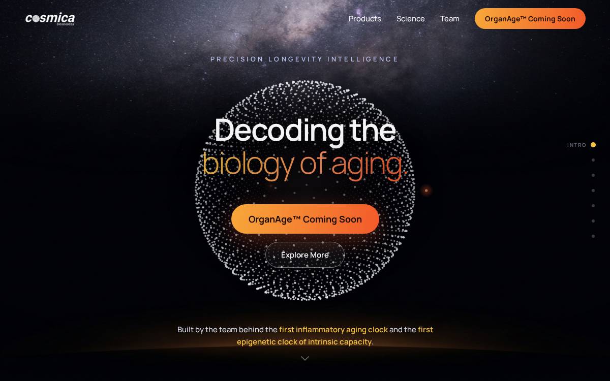 Cosmica website preview