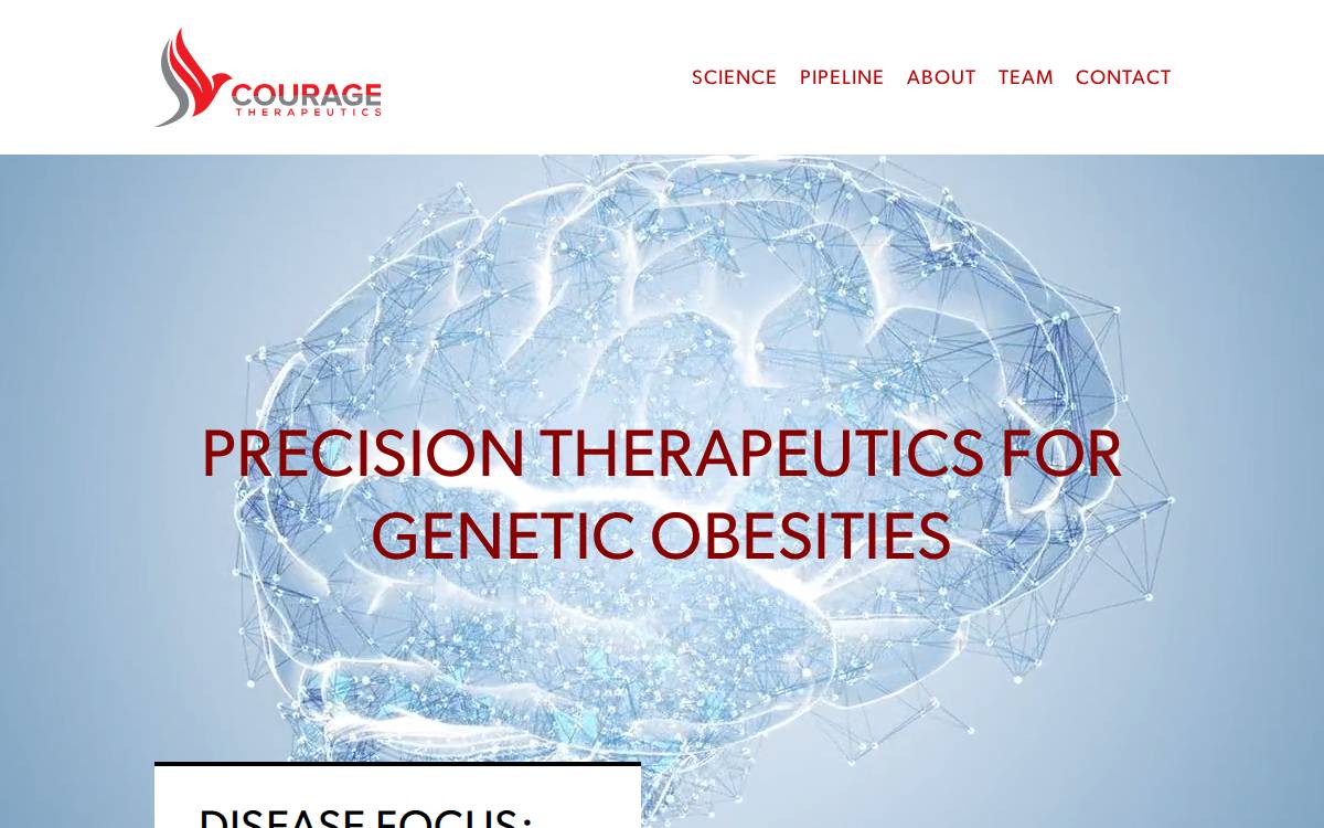 COURAGE THERAPEUTICS INC website preview