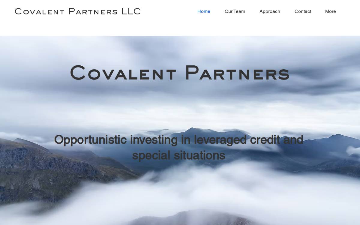 Covalentpartners website preview