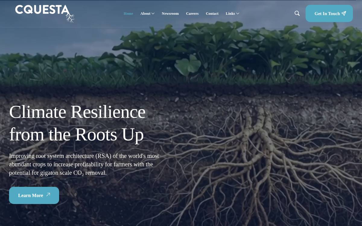 Cquesta website preview