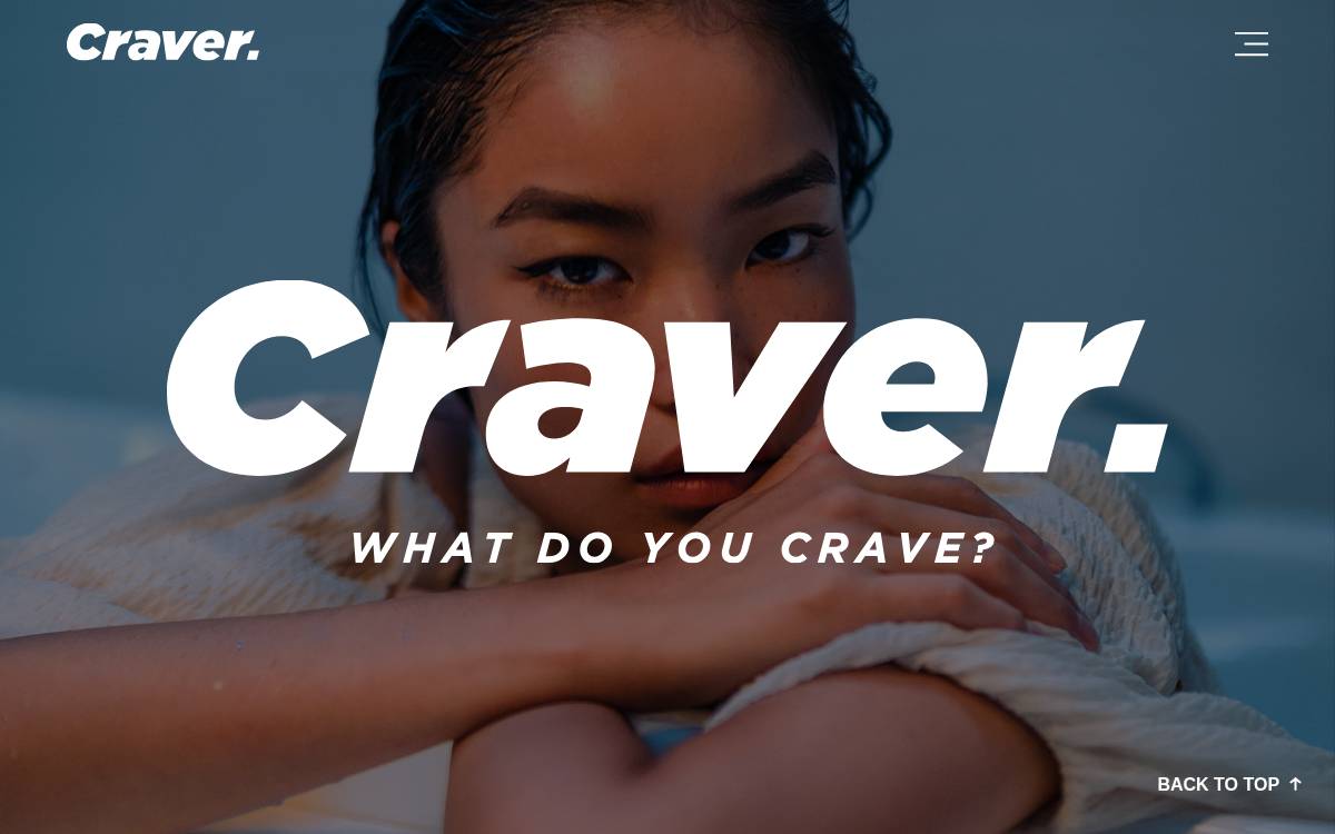 Craver Corporation website preview