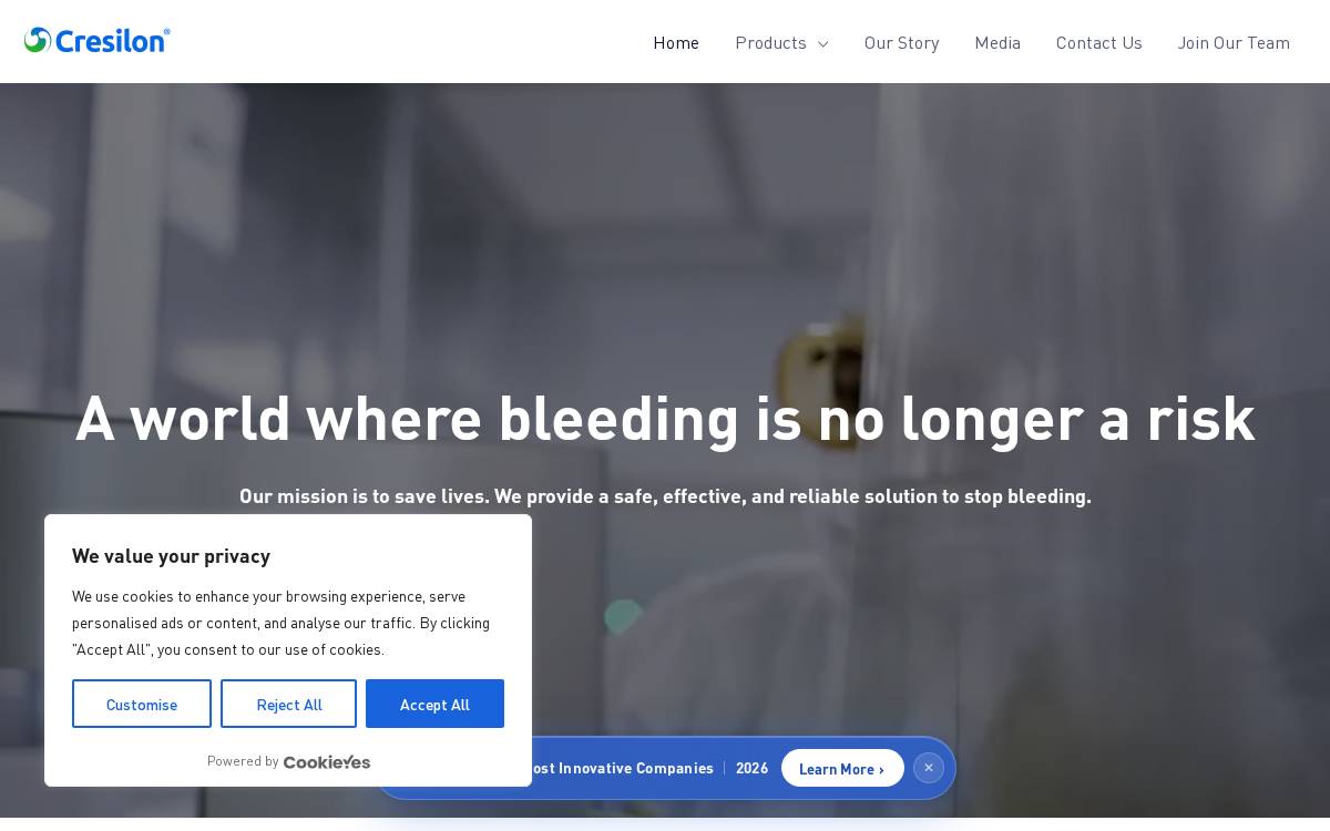 Cresilon website preview