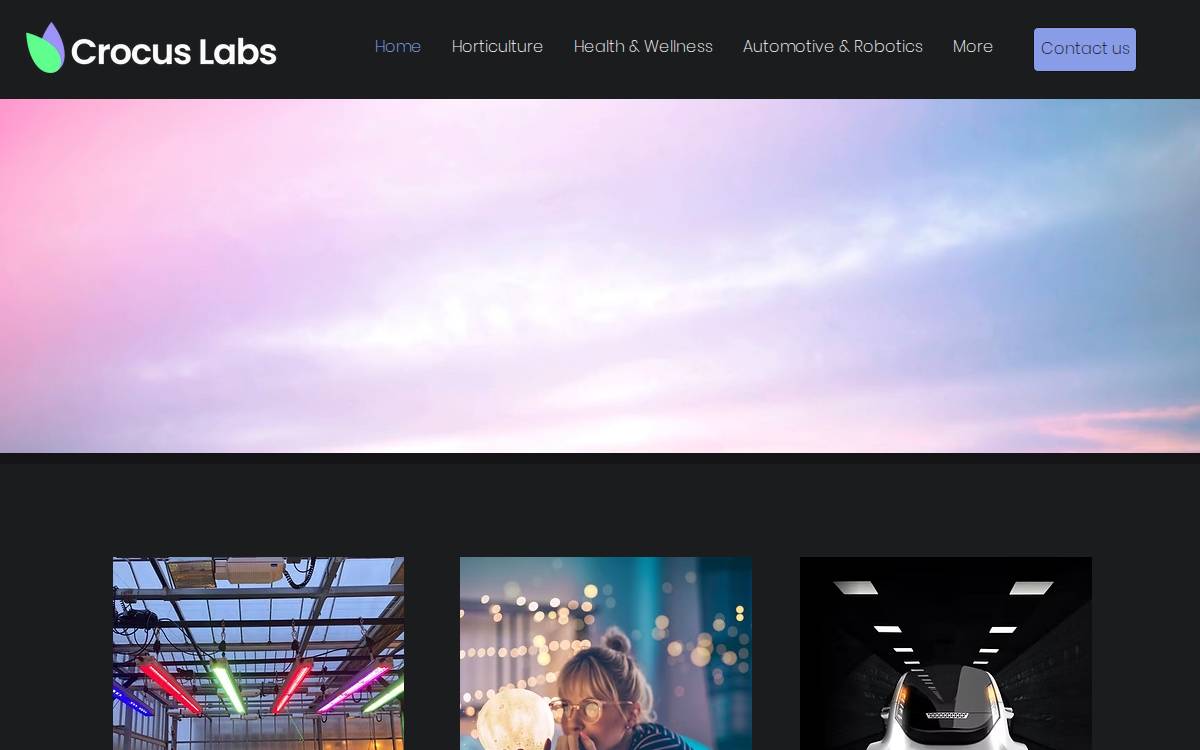 Crocus Labs GmbH website preview