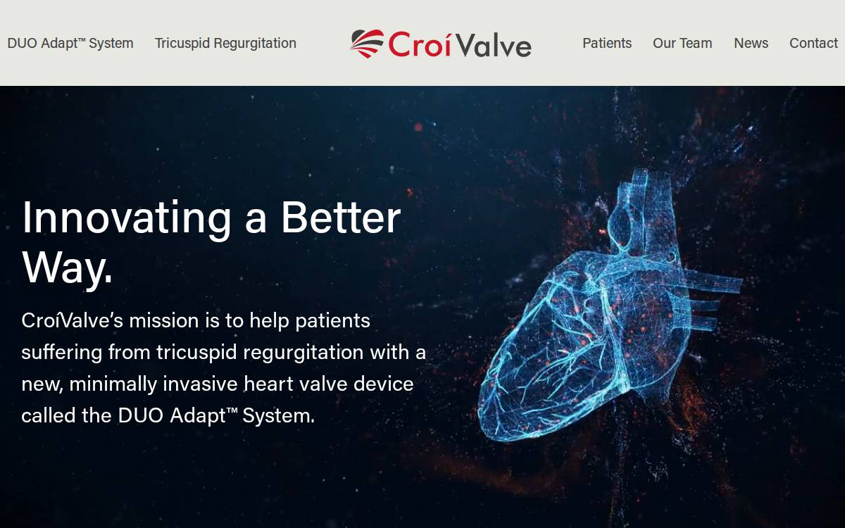 Croivalve website preview
