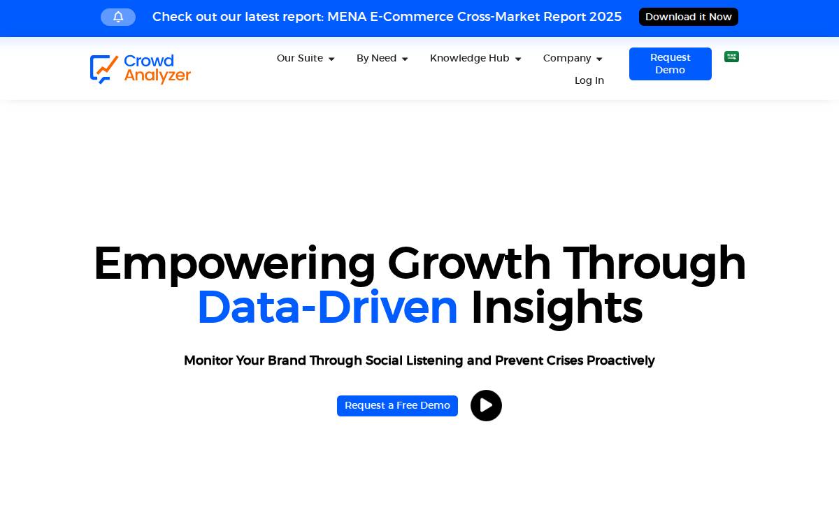 Crowd Analyzer website preview