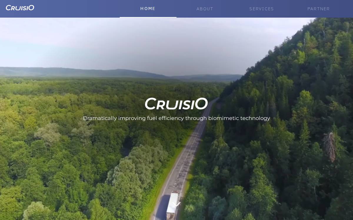 Cruisio website preview
