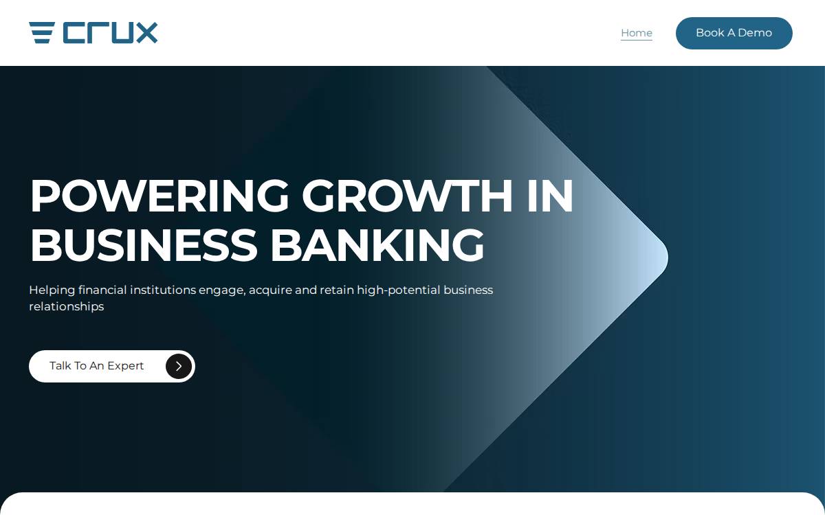 Crux Analytics website preview