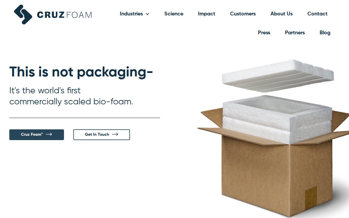 Cruz Foam website preview