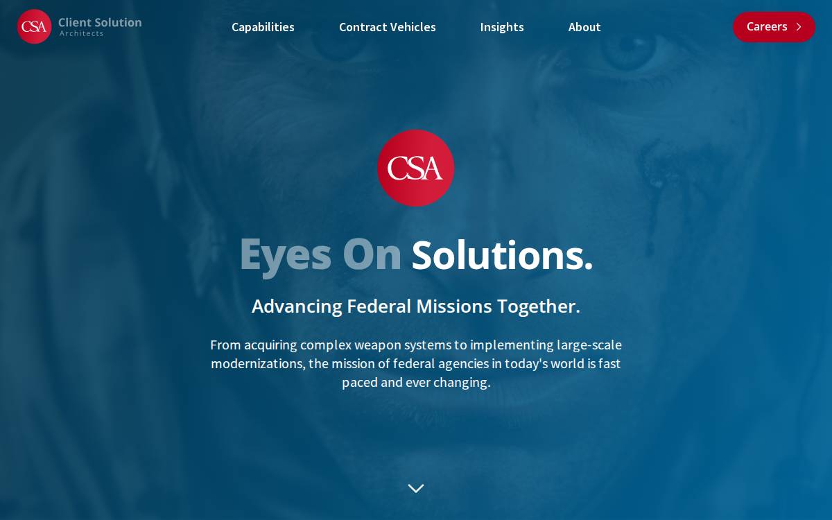 Csaassociates website preview