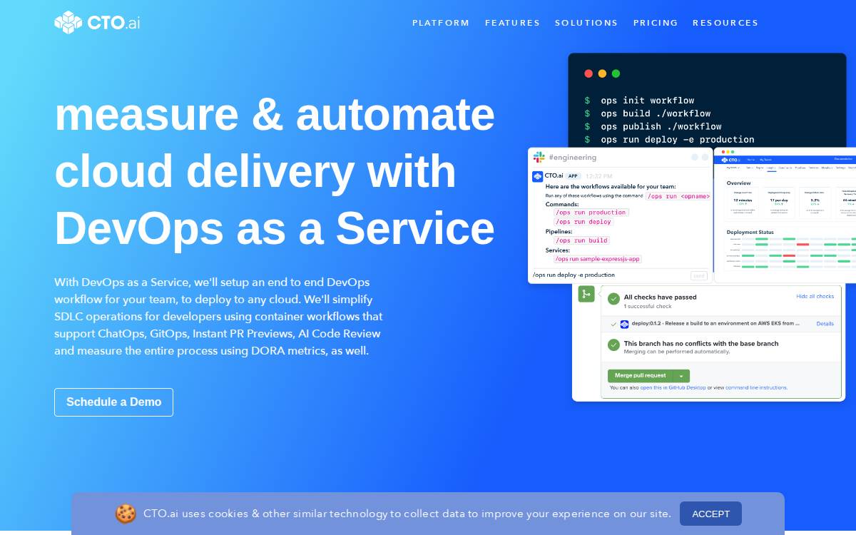 Cto website preview