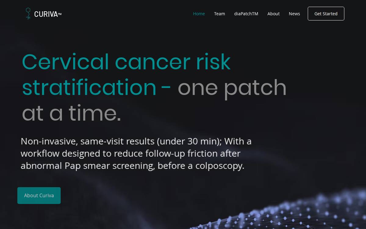 Curiva website preview