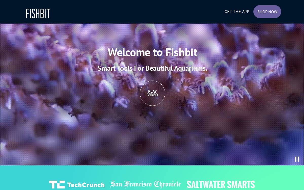 Current website preview