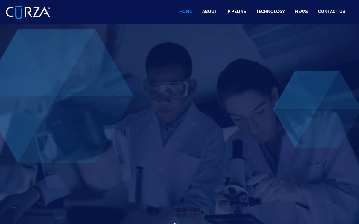 Curza website preview