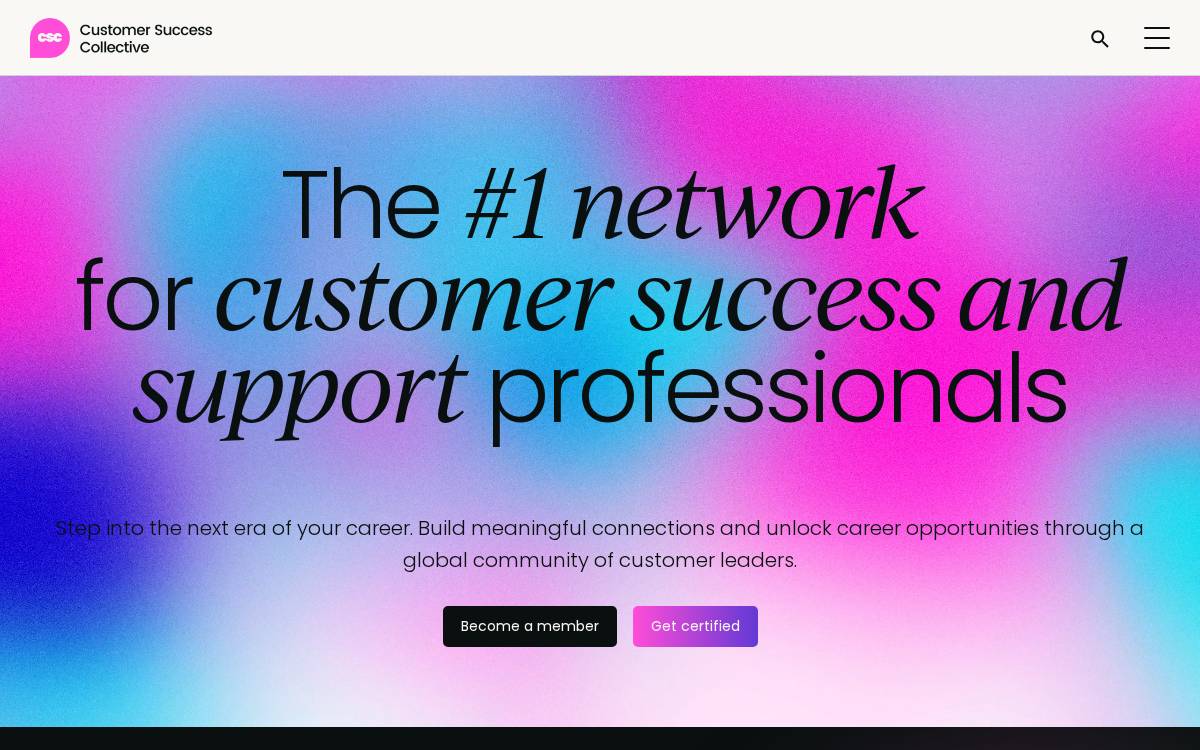 Customer website preview