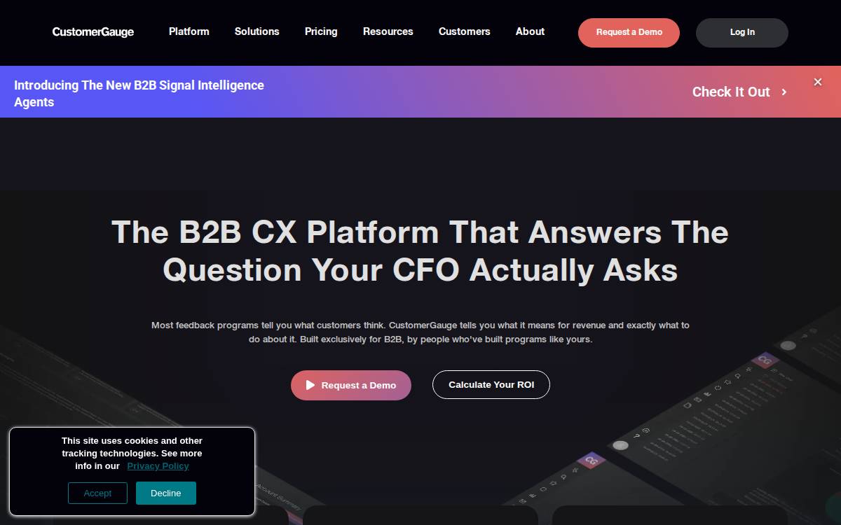 Customergauge website preview