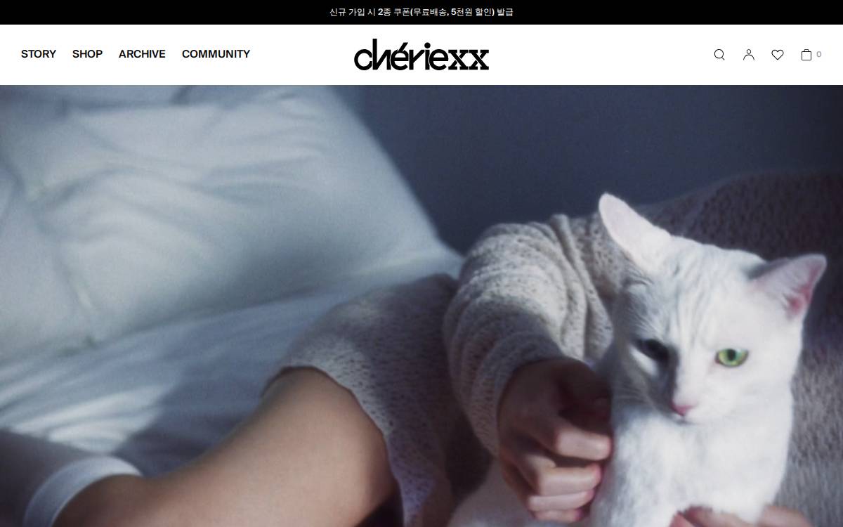 CXX Co., Ltd. website preview