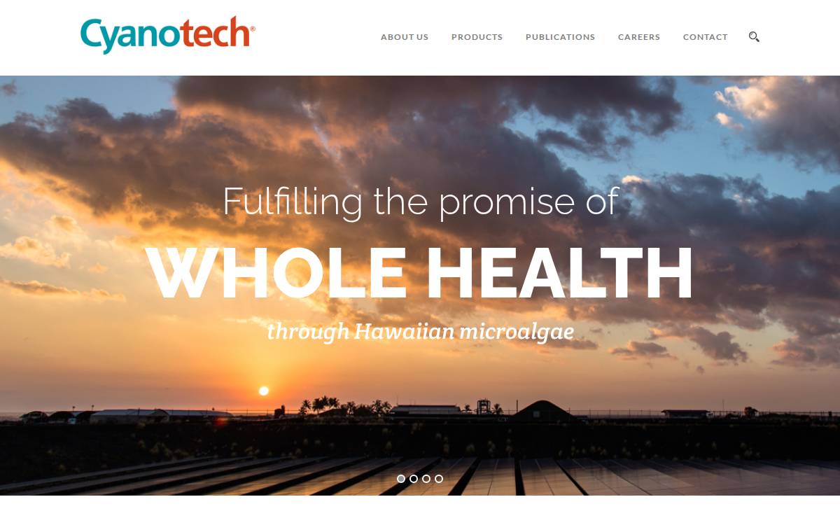 Cyanotech website preview